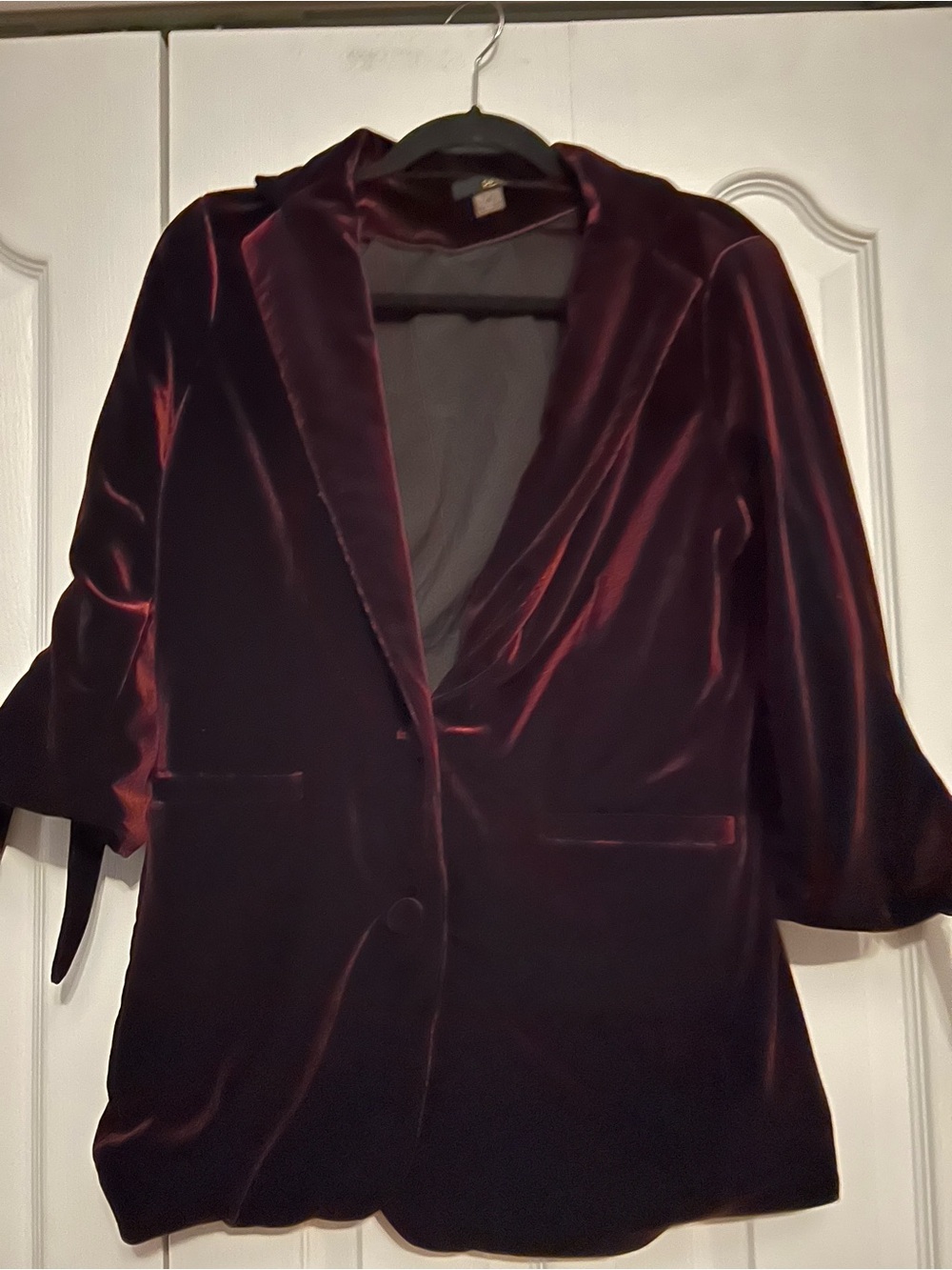 Renuar Women's Velvet Blazer in Deep Wine